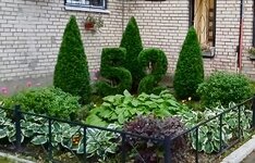 IMG_5626.jpeg