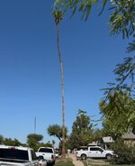 IMG_5185.jpeg