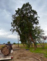 IMG_5233.jpeg