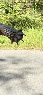 IMG_0066.jpeg
