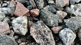 IMG_5656.jpeg