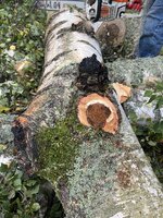 IMG_5662.jpeg