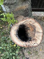 IMG_5664.jpeg