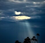 IMG_5305.jpeg