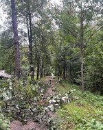 IMG_5676.jpeg