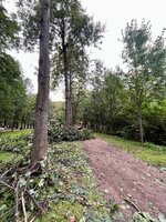 IMG_5677.jpeg