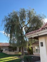 IMG_5314.jpeg