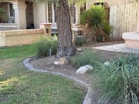IMG_5315.jpeg