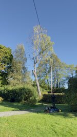 IMG_1384.jpeg