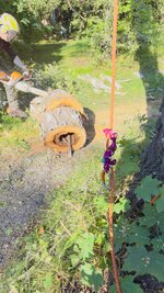 IMG_1385.jpeg