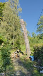 IMG_1386.jpeg