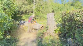 IMG_1387.jpeg
