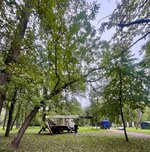 IMG_5687.jpeg