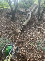 IMG_1058.jpeg