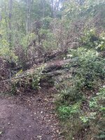 IMG_1056.jpeg