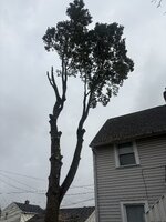 IMG_0085.jpeg