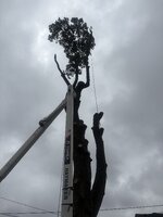 IMG_0086.jpeg