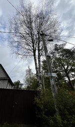 IMG_5701.jpeg