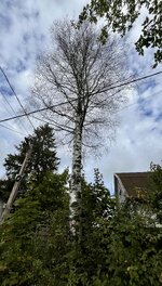 IMG_5700.jpeg
