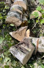 IMG_5703.jpeg