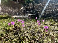IMG_5702.jpeg