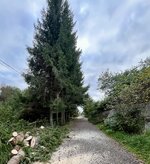 IMG_5707.jpeg