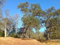IMG_20250927_085213494_HDR.jpg