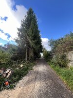 IMG_5714.jpeg