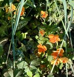 IMG_5758.jpeg