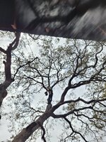20251002_130936.jpg