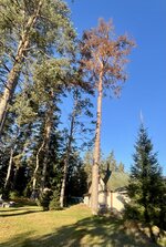 IMG_5766.jpeg