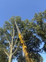 IMG_0103.jpeg