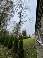 IMG_5845.jpeg