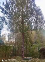 IMG_5860.jpeg