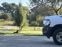 IMG_3967.jpeg