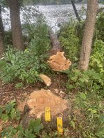 IMG_1080.jpeg