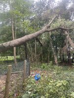 IMG_1082.jpeg