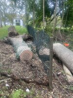 IMG_1083.jpeg