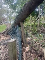 IMG_1081.jpeg