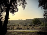 IMG_5522.jpeg