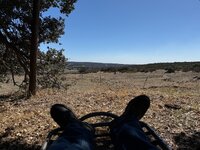 IMG_5512.jpeg