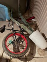 IMG_5488.jpeg