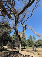 IMG_5495.jpeg