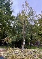 IMG_5863.jpeg