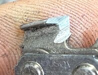 IMG_5565.jpeg