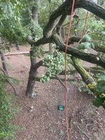 IMG_1111.jpeg