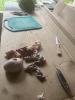 IMG_3315.jpeg