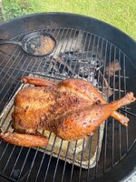 IMG_3318.jpeg