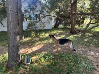 IMG_3974.jpeg