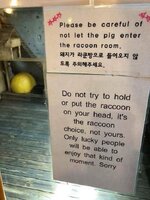 FB_IMG_1760191366081.jpg